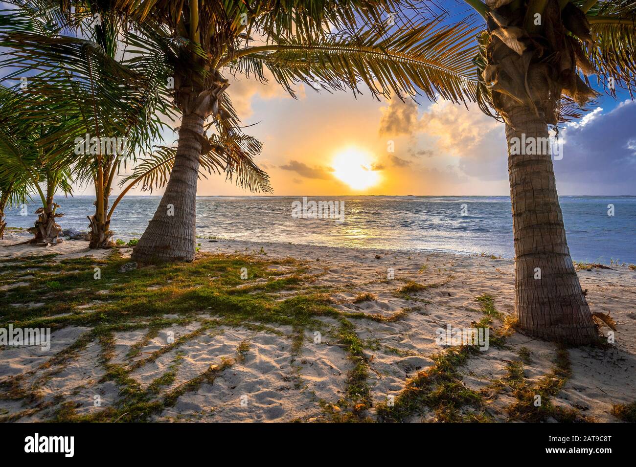 Palmen, Strand, Sonnenaufgang und Einsamkeit, Grand Cayman Island Stockfoto