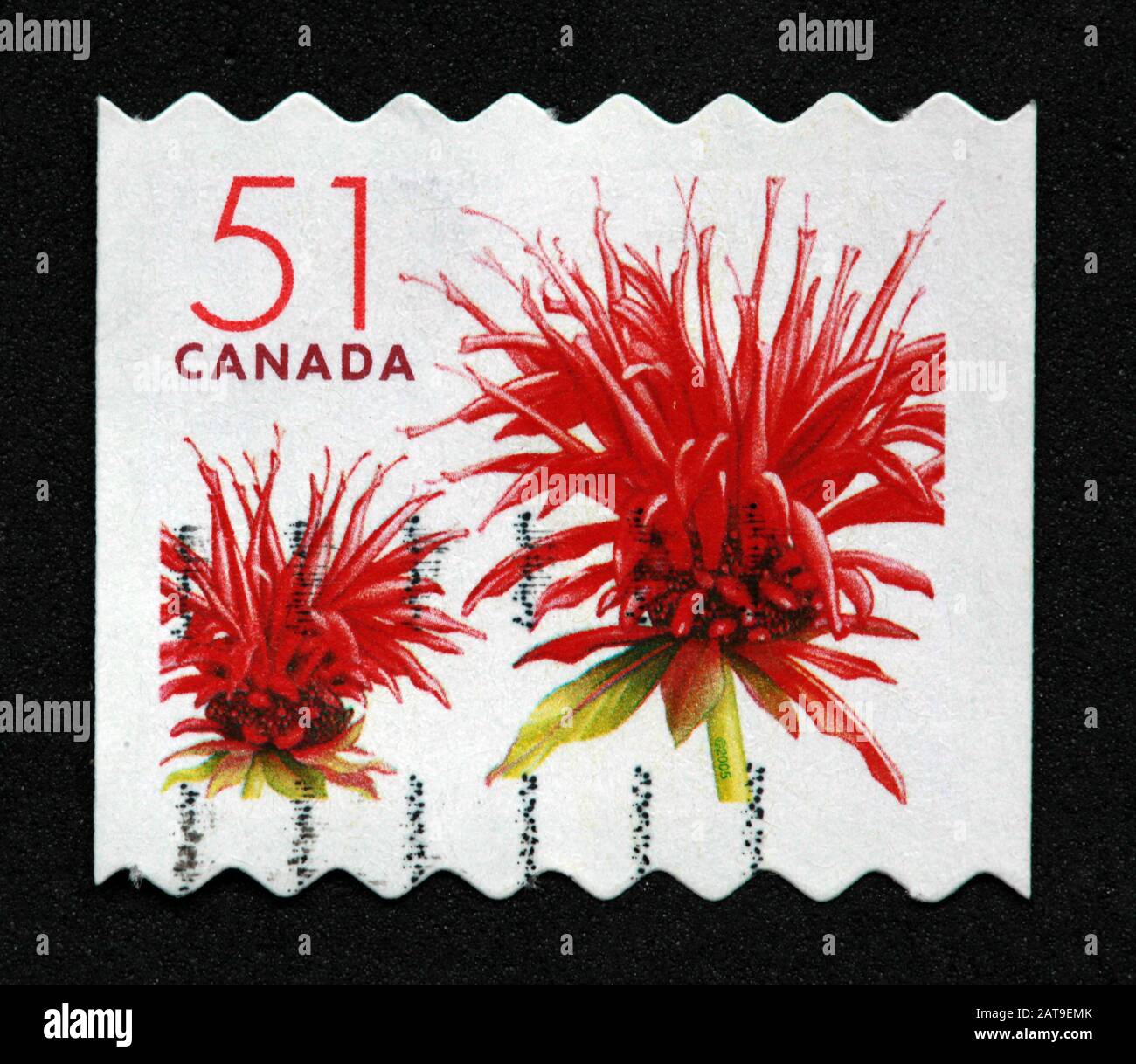 Kanadische Briefmarke, Canada Stamp, Canada Post, gebrauchte Briefmarke, Kanada, 51, 51 Cent, rote Blume, rote Bergamottenblüte Stockfoto
