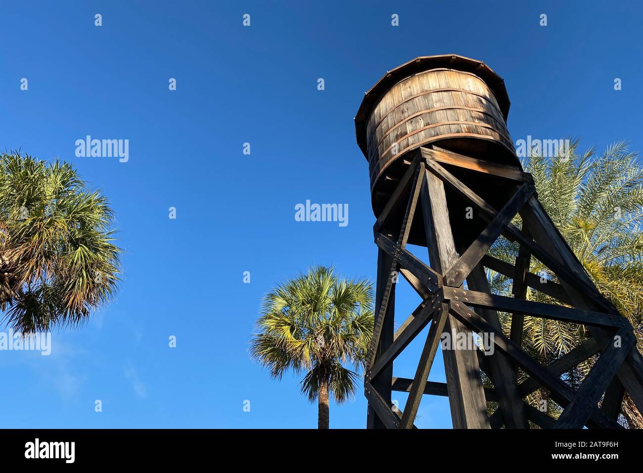 Ein südlicher Bauernhof-Wasserturm aus Holz mit Palmen Stockfoto