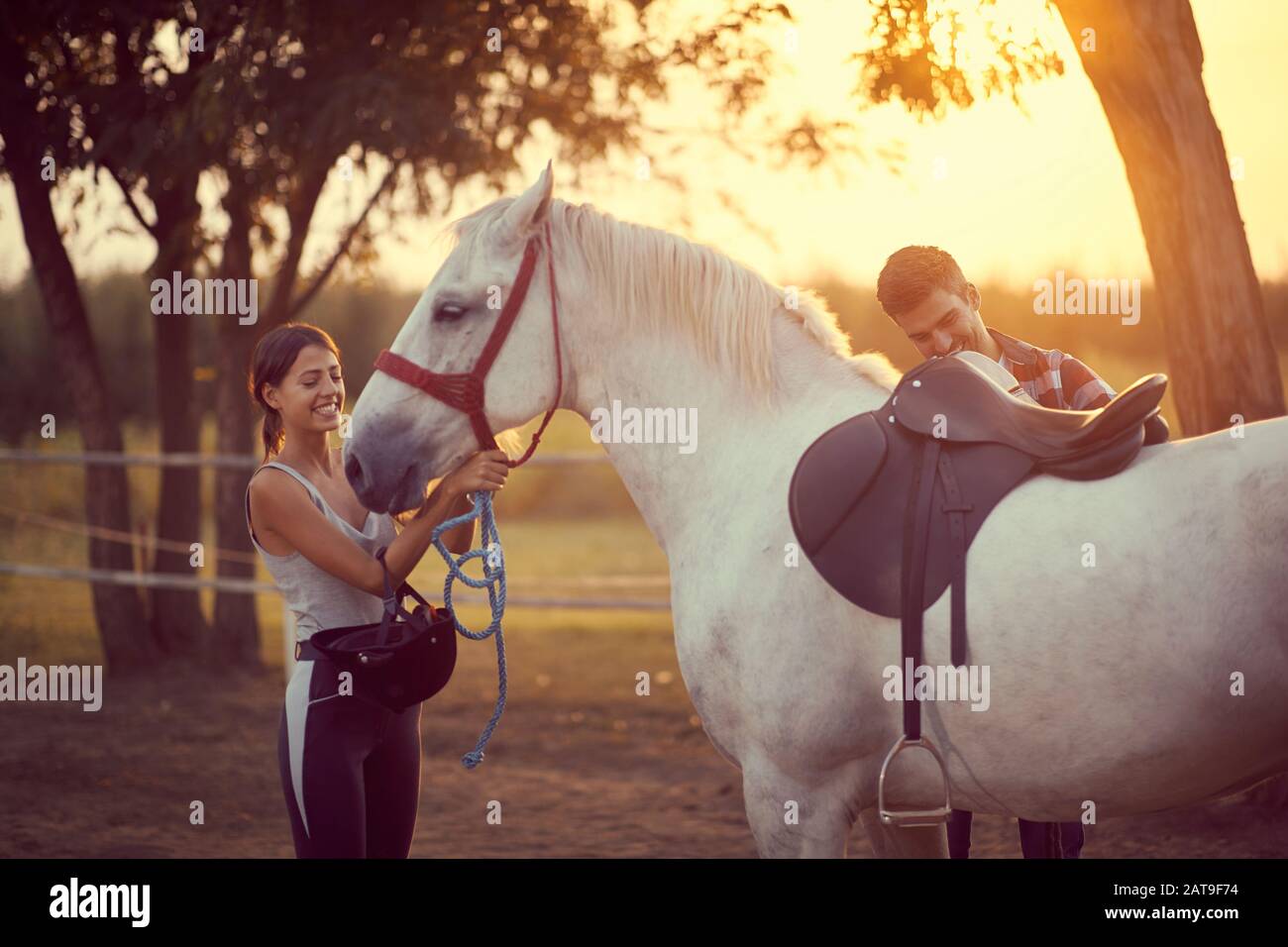 Mann legt einen Sattel auf ein Pferd, während Frau die Zügel anlegt.  Training und Spaß auf der Landschaft, goldene Abendstunde. Naturkonzept  Freiheit Stockfotografie - Alamy