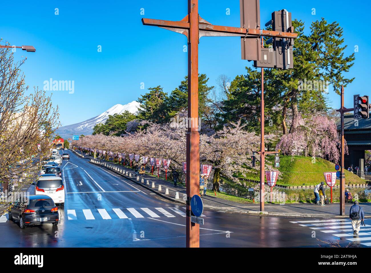 Blick auf die Straße in der Stadt Hirosaki im Frühling sonniger Tag. Kirschblütenmatsuri-Festival, Besucher genießen die Schönheit voller Blüte rosa Sakura-Bäume Blumen. Stockfoto