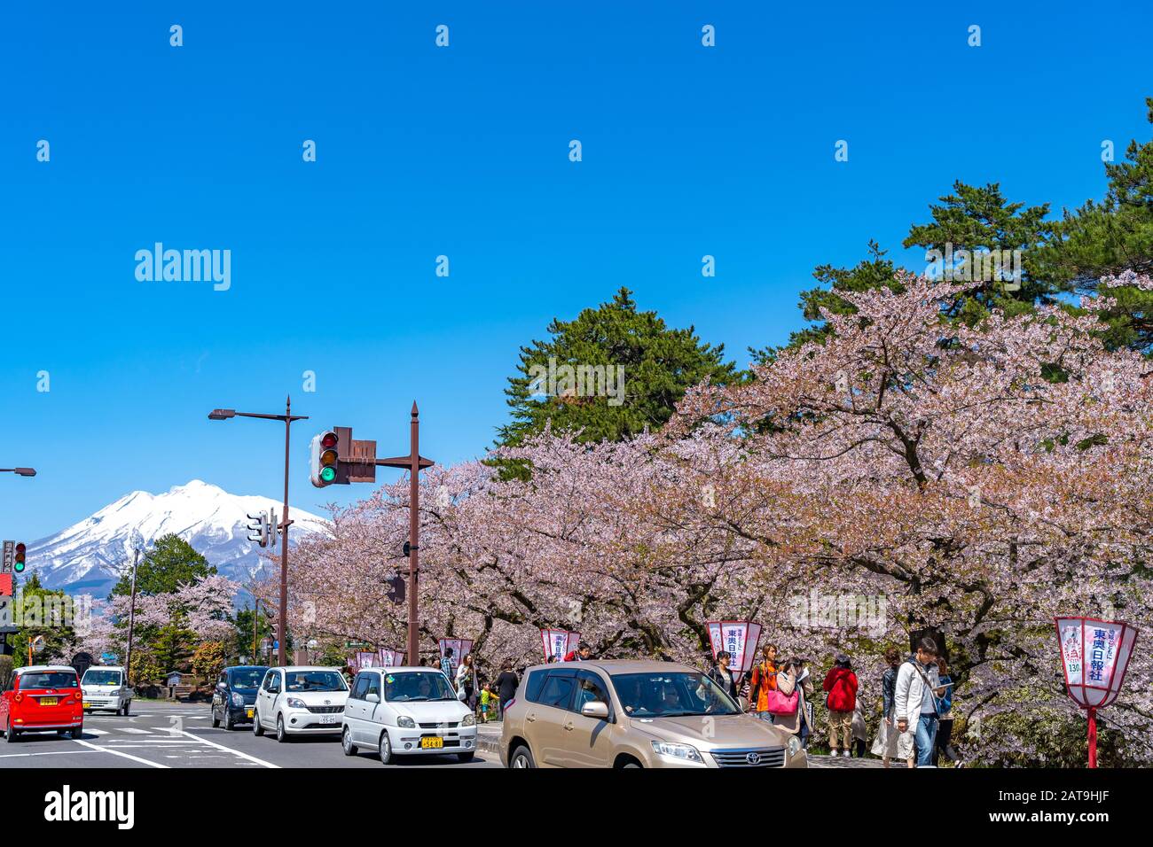 Blick auf die Straße in der Stadt Hirosaki im Frühling sonniger Tag. Kirschblütenmatsuri-Festival, Besucher genießen die Schönheit voller Blüte rosa Sakura-Bäume Blumen. Stockfoto