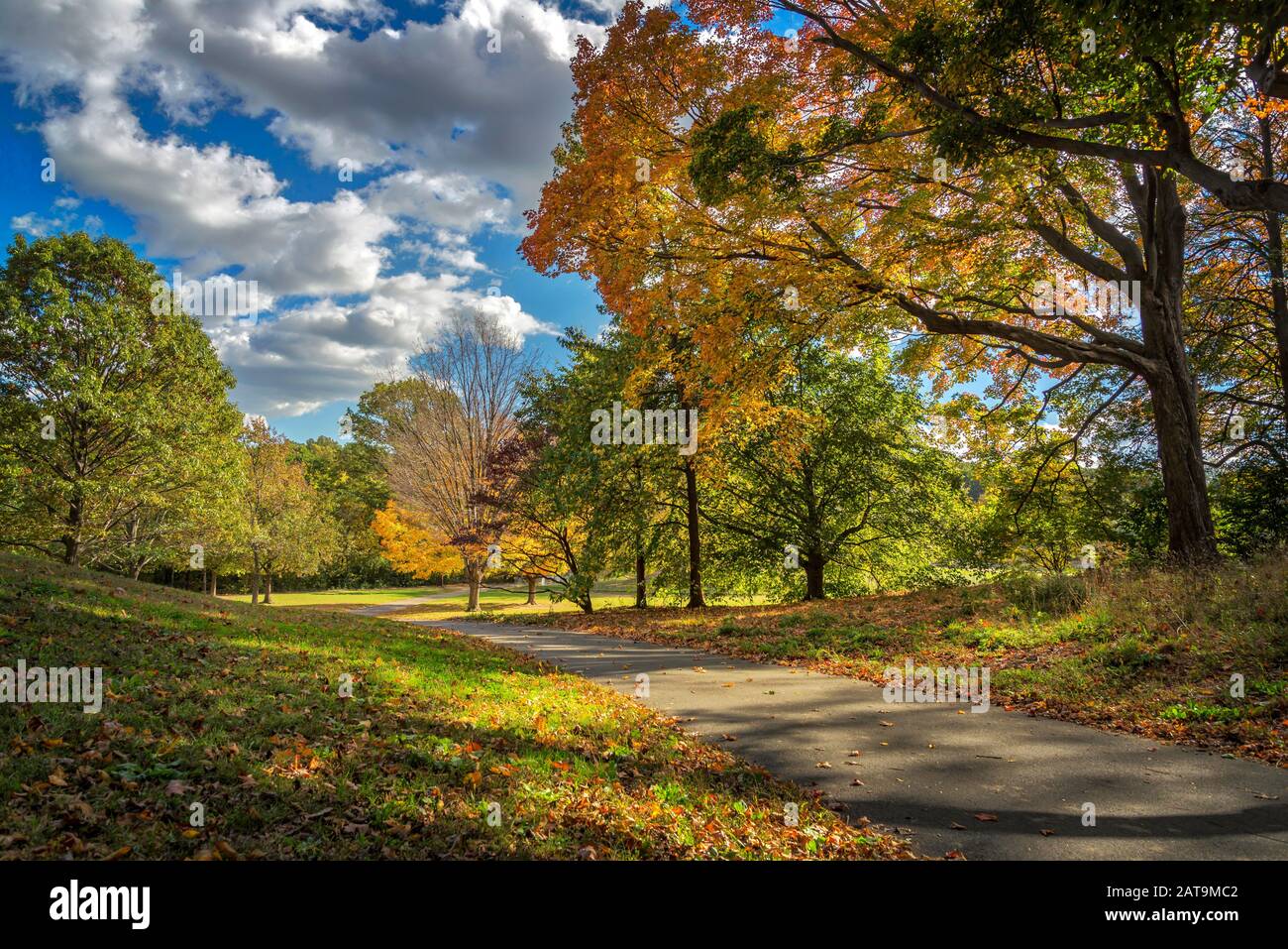 Central Park im Herbst, Manhattan, New York City Stockfoto