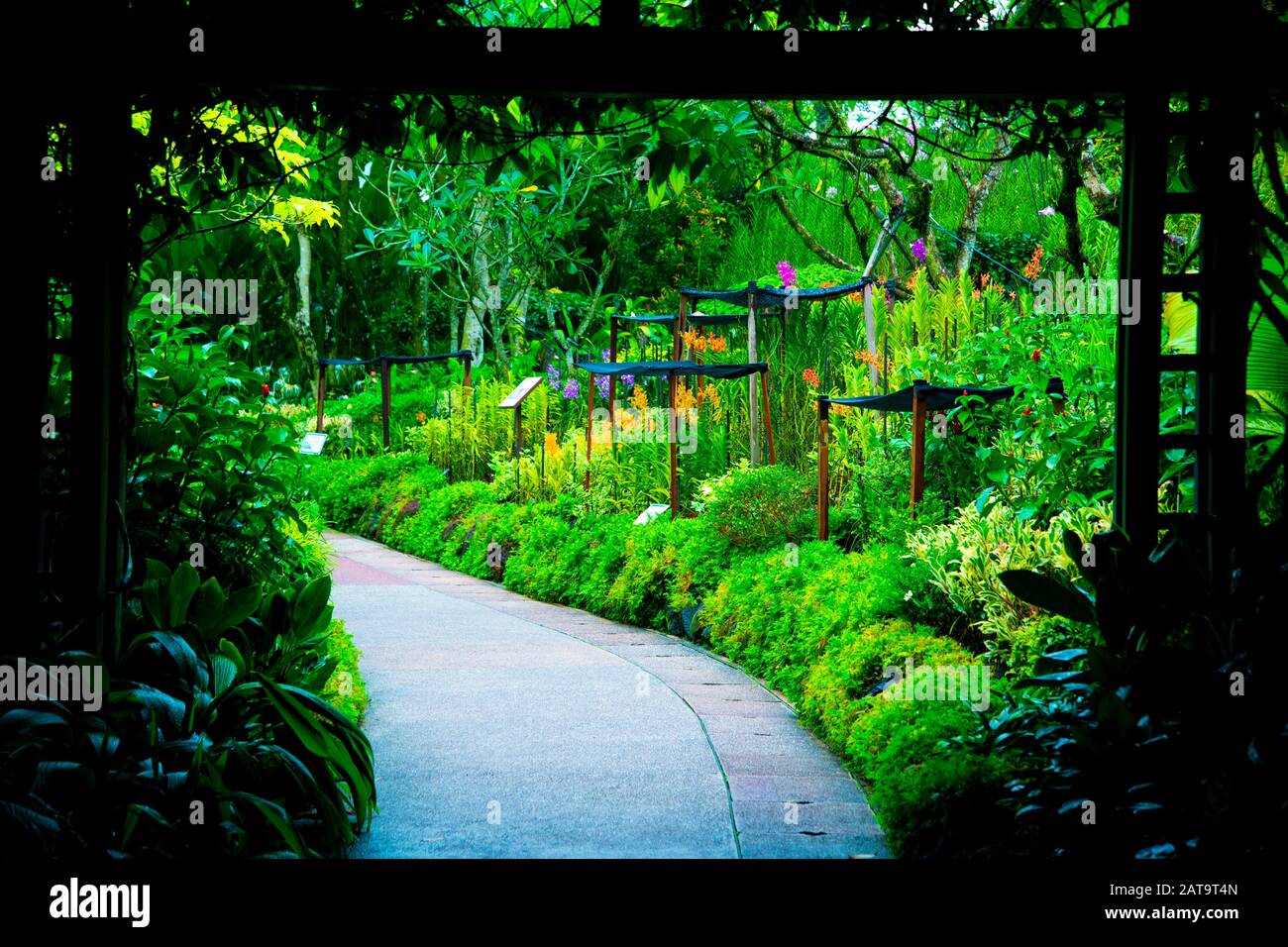 National Orchid Garden - Singapur Stockfoto