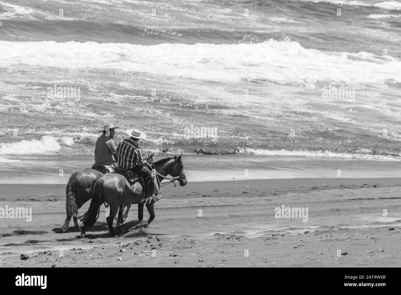 Zwei Männer auf einem Pferderennen um die chilenische Küste In einem Sandstrand in der Dämmerung Sommerzeit am Strand Genießen Sie chilenische Natur und es wilde Strände Stockfoto