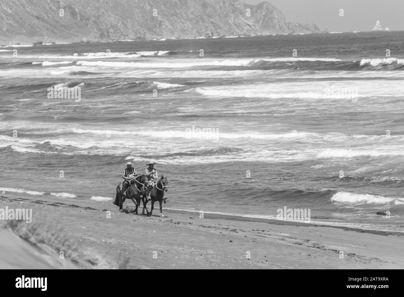 Zwei Männer auf einem Pferderücken gehen in der Abenddämmerung an einem Sandstrand um die chilenische Küste. Sommer am Strand genießen chilenische Natur und es wilden Strand Stockfoto