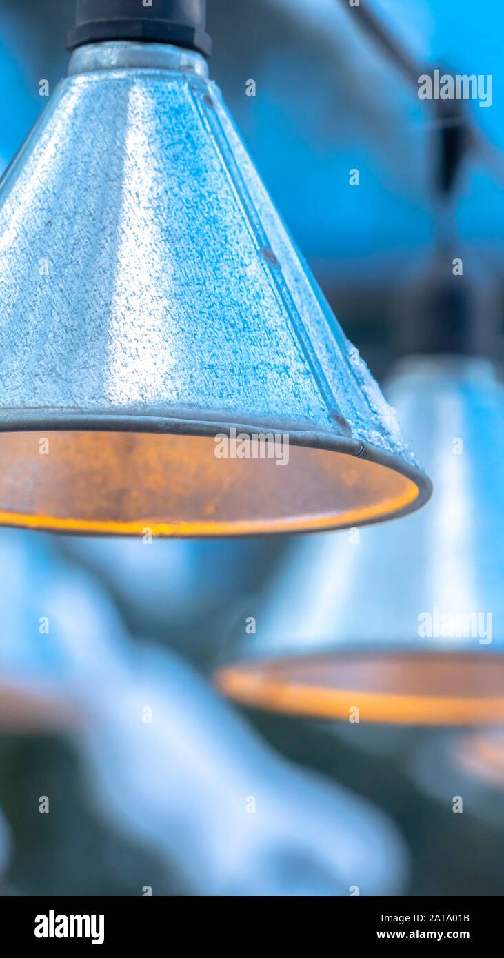 Vertikaler Rahmen Dekorative konische Lampen hängen im Winter an schwarzen Saiten außerhalb des Hauses Stockfoto