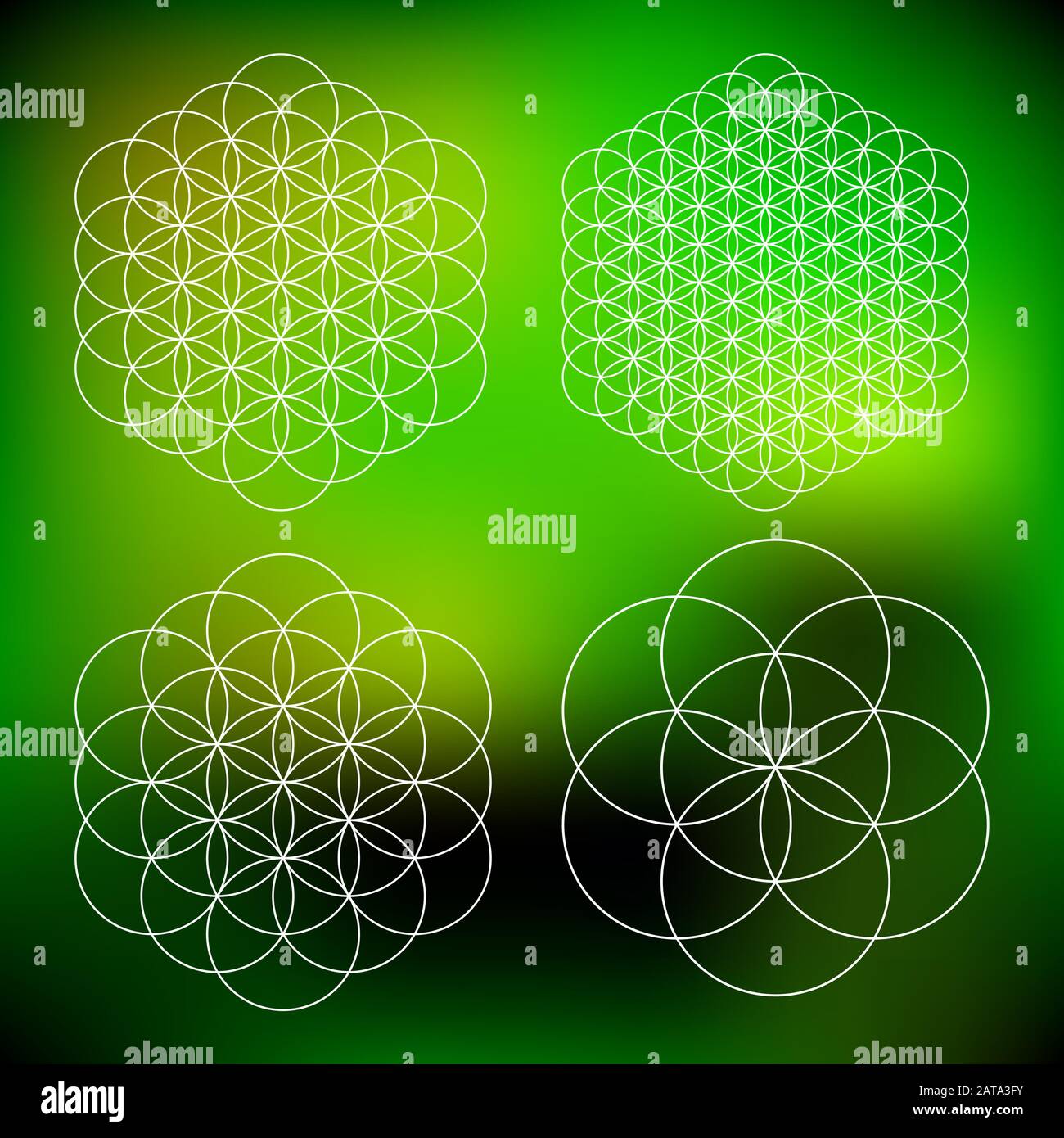 Vektor Computer Generated Blume des Lebens Symbol Fraktale - Generative Kunst-Set Stock Vektor