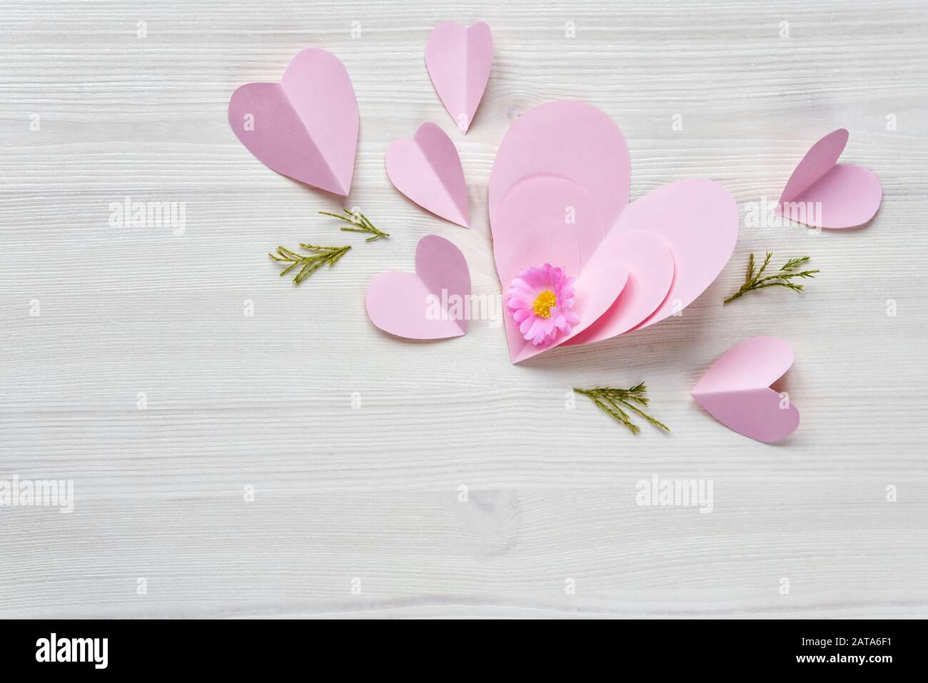 Frühling sanfte romantische Komposition mit Blume und rosa Papier Herzen auf weißem Holz- Hintergrund. Schönen Hintergrund oder Grußkarten zum Valentinstag Stockfoto