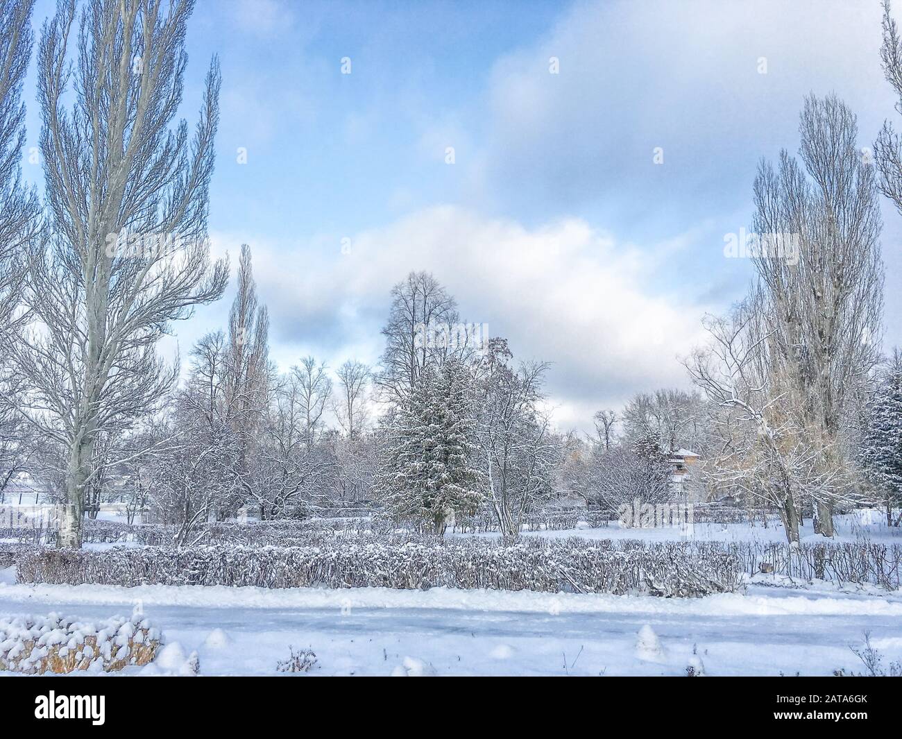Winter-Stadtpark mit schneebedeckten Gassen am sonnigen Morgen Stockfoto
