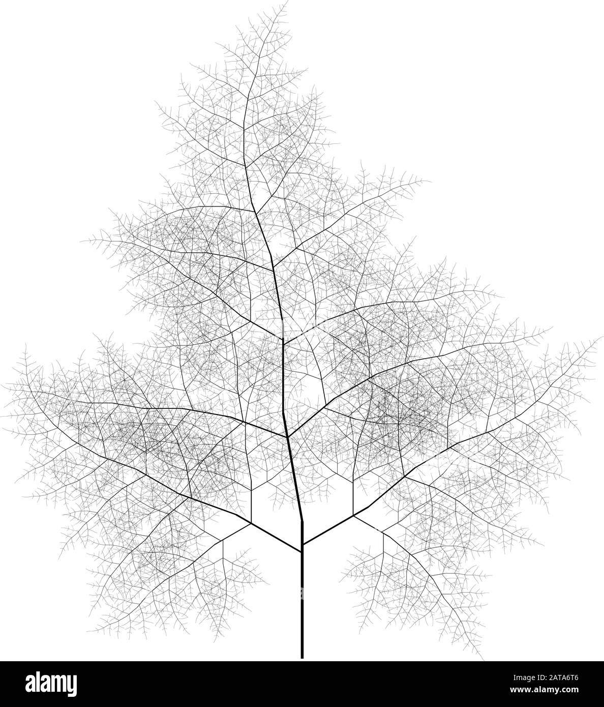 Flat Vector Computer Generated Self-Similar L-System Branching Tree Fractal - Generative Art Stock Vektor