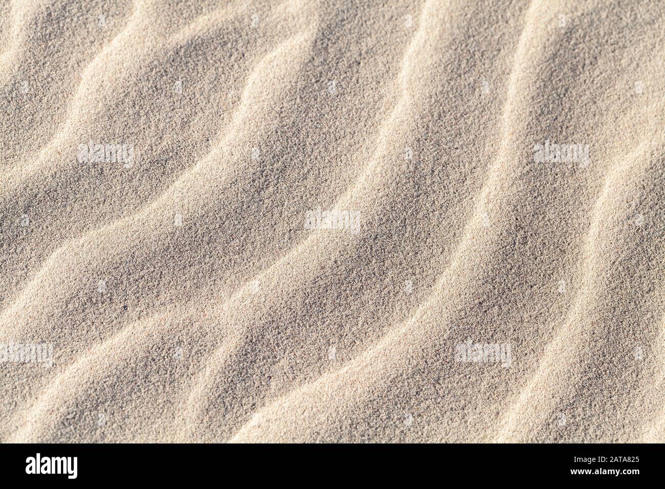 Sandwelligkeit, Nahaufnahme. Abstrakter natürlicher Hintergrund, Fotostruktur Stockfoto
