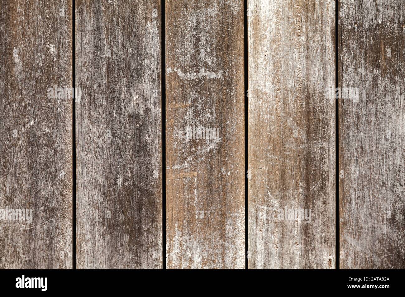 Alte eingewachsene Holzwand, Hintergrundfotostruktur Stockfoto