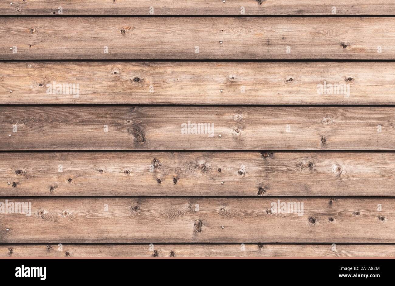 Natürliche Holzwand aus Kiefernbrettern. Fototextur mit flachem Hintergrund Stockfoto