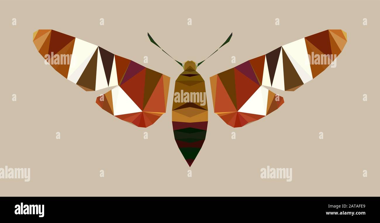 Polygonal Moth Model - Vector Isolated Night-Fly-Symbol Stock Vektor