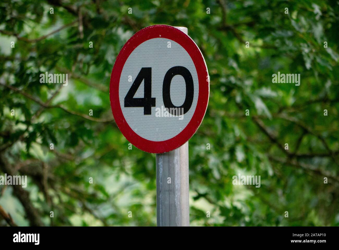 Nahaufnahme eines britischen Straßenschildes mit einer Geschwindigkeit von 40 km/h und einem natürlichen grünen Hintergrund Stockfoto