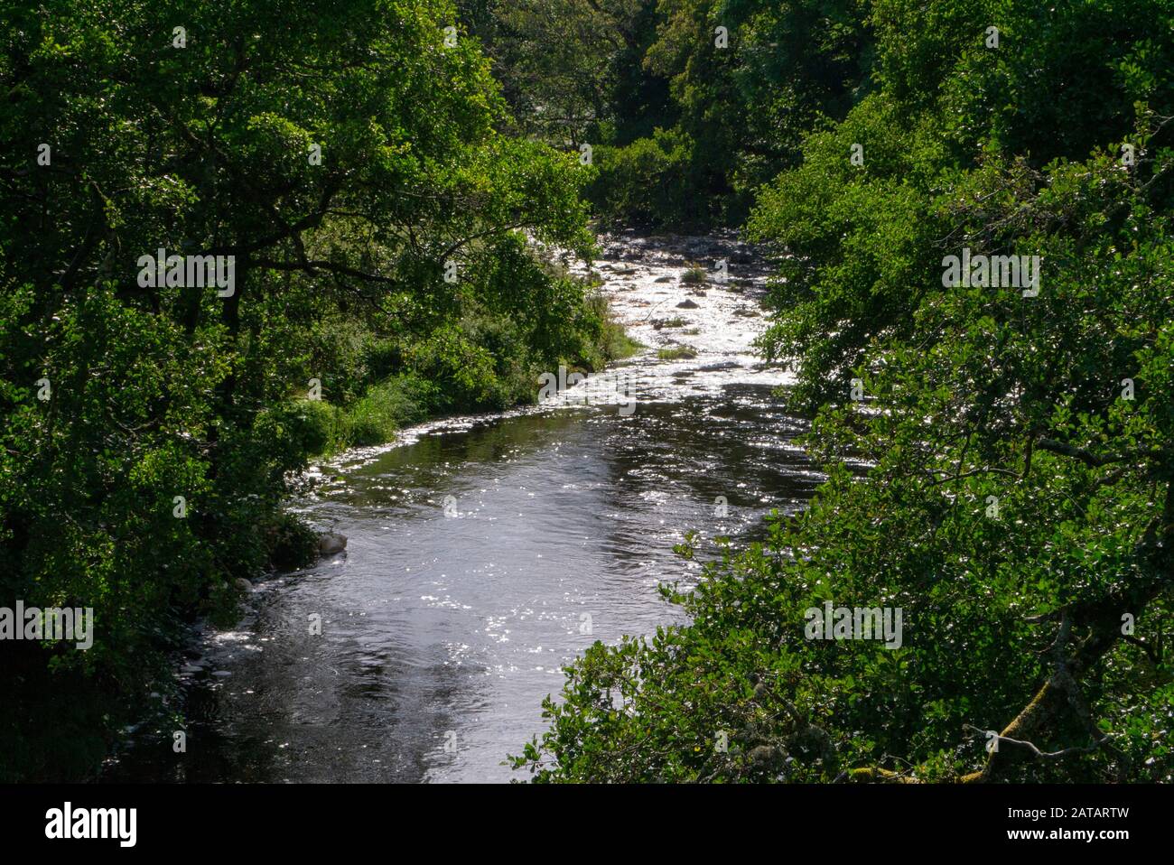 Der Fluss Nairn im Sommer Inverness-shire Schottland Großbritannien Stockfoto