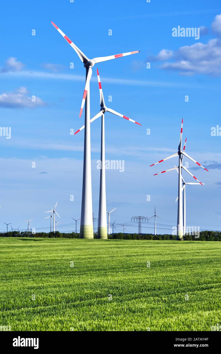 Moderne Windräder in einem Maisfeld in Deutschland zu sehen Stockfoto