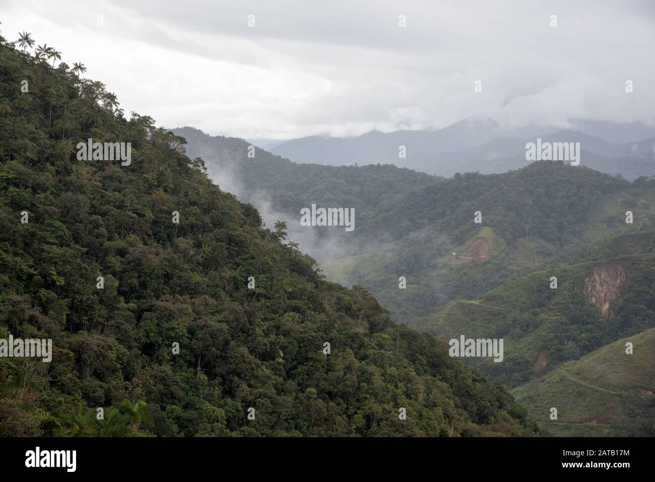 Urwald im Bombuscaro-Gebiet im tropischen Podocarpus-Nationalpark in den Anden auf 1000 Meter Höhe über dem Meeresspiegel mit Landnutzung in der Nähe. Stockfoto