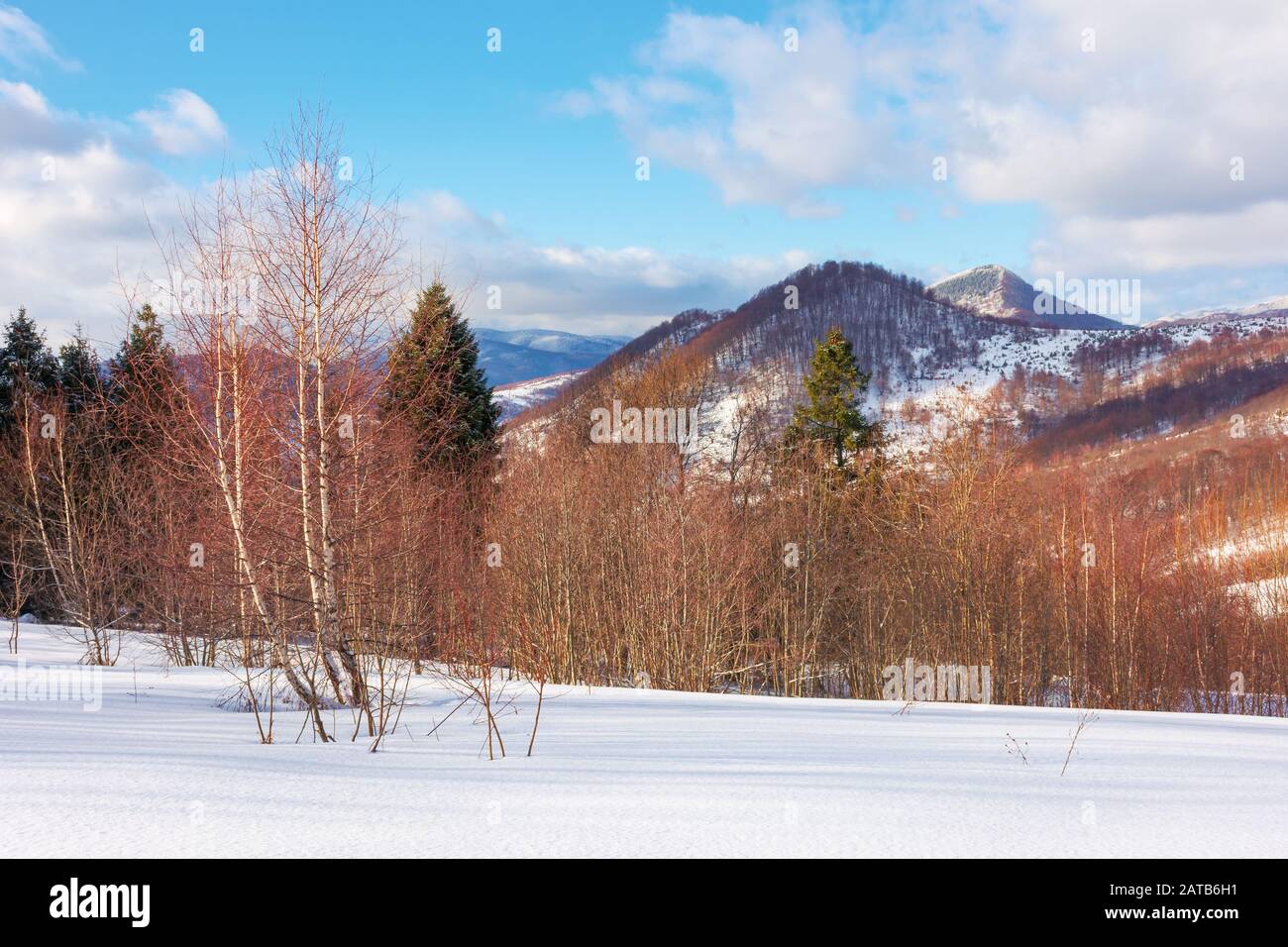 Schöne Winterlandschaft in den Bergen. Nachmittagslandschaft des ushanischen Naturparks, ukraine. Grüne Bäume an schneebedeckten hängen dramatisch Stockfoto