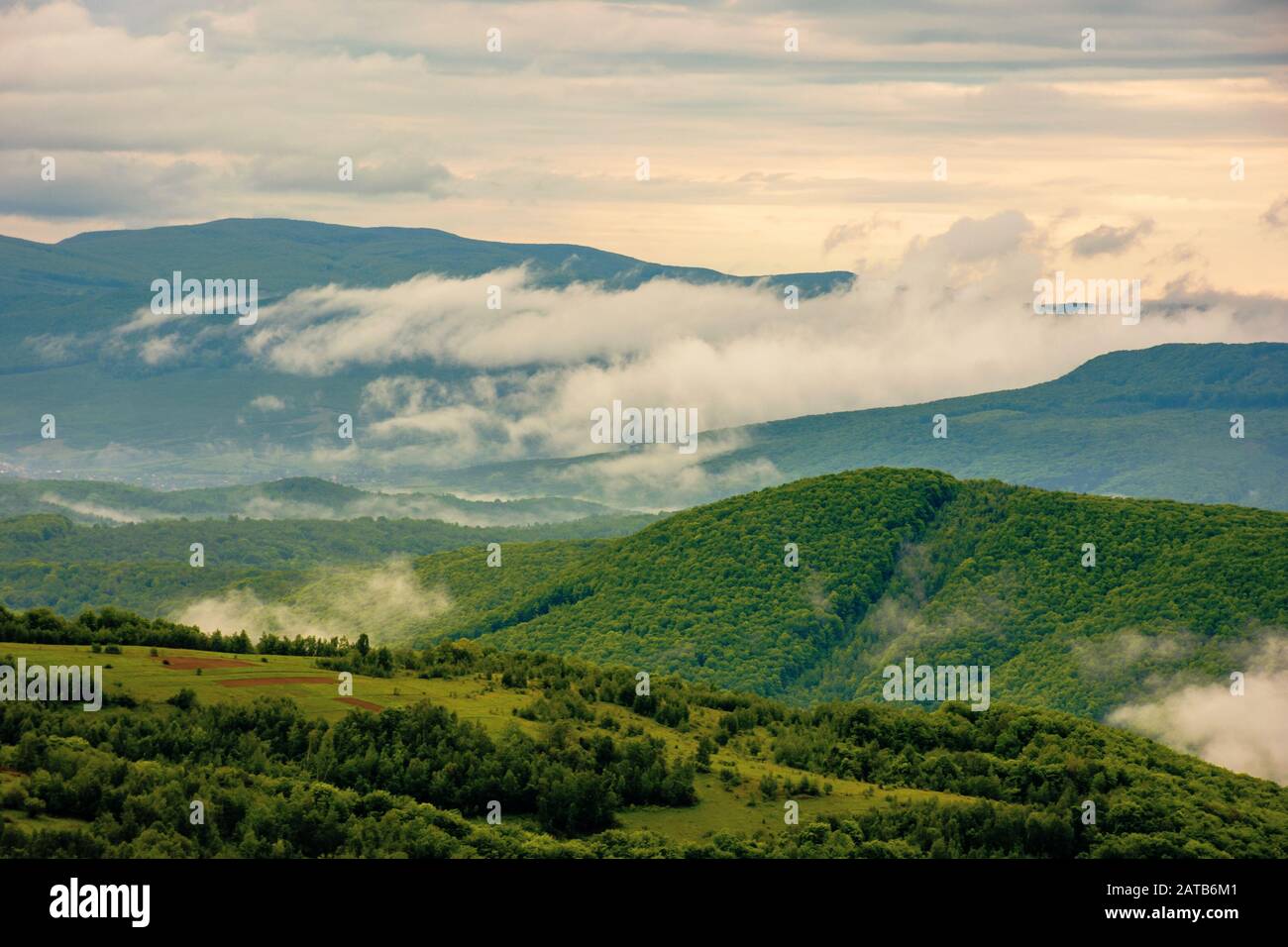 Wolken steigen über die Hügel. bergige Landschaft der Karpaten. Nebel aus dem grünen Wald, gleich nachdem es regnet. bewölkt windig Sunrise verdunsten Stockfoto