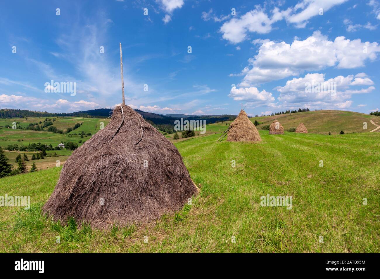 Heuhaufen auf der Wiese im Sommer. Traditionelle karpatische ländliche Landschaft in den Bergen. sonniges Wetter mit Fluffy Clouds Stockfoto