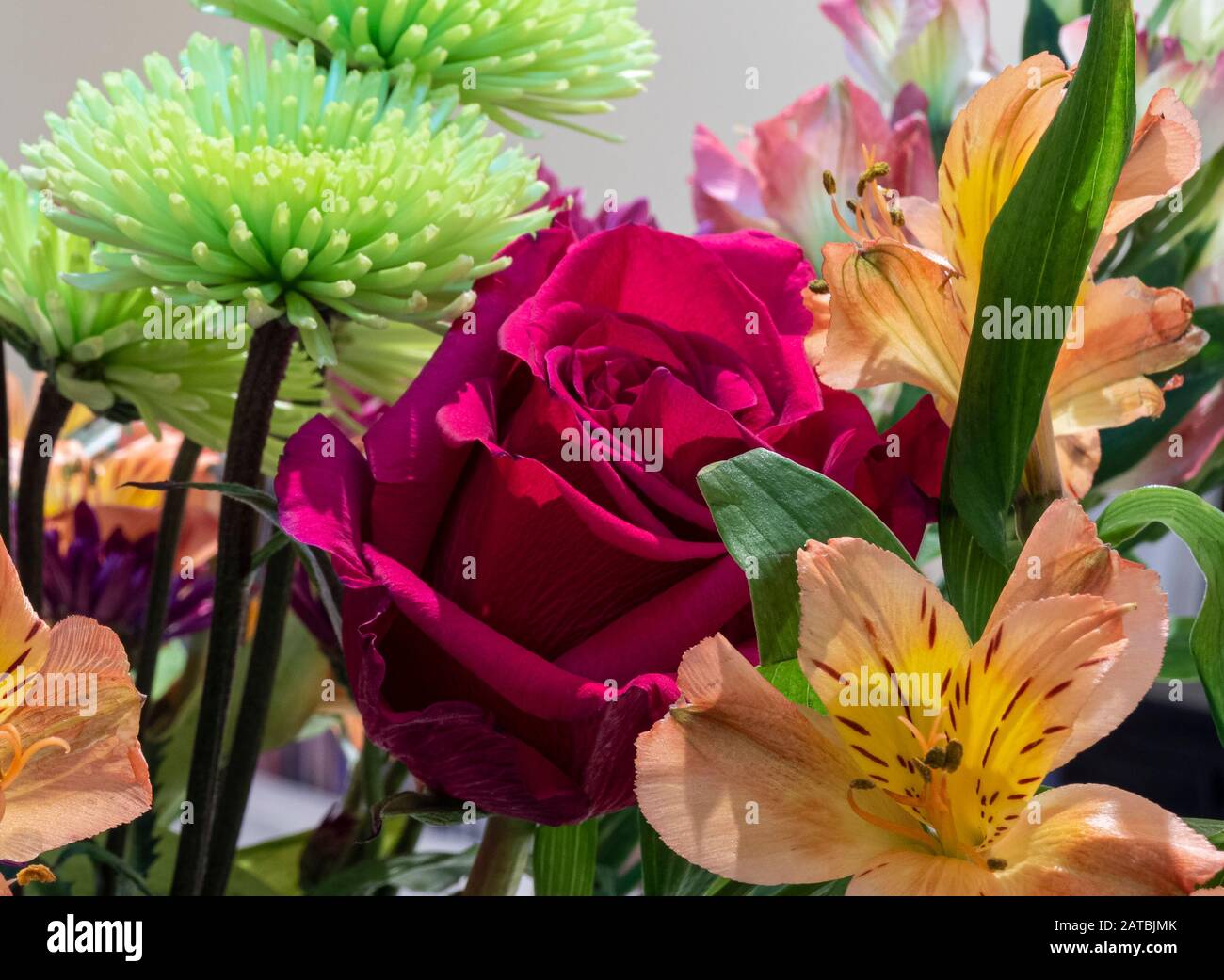 Nahaufnahme von bunten Blumen Stockfoto
