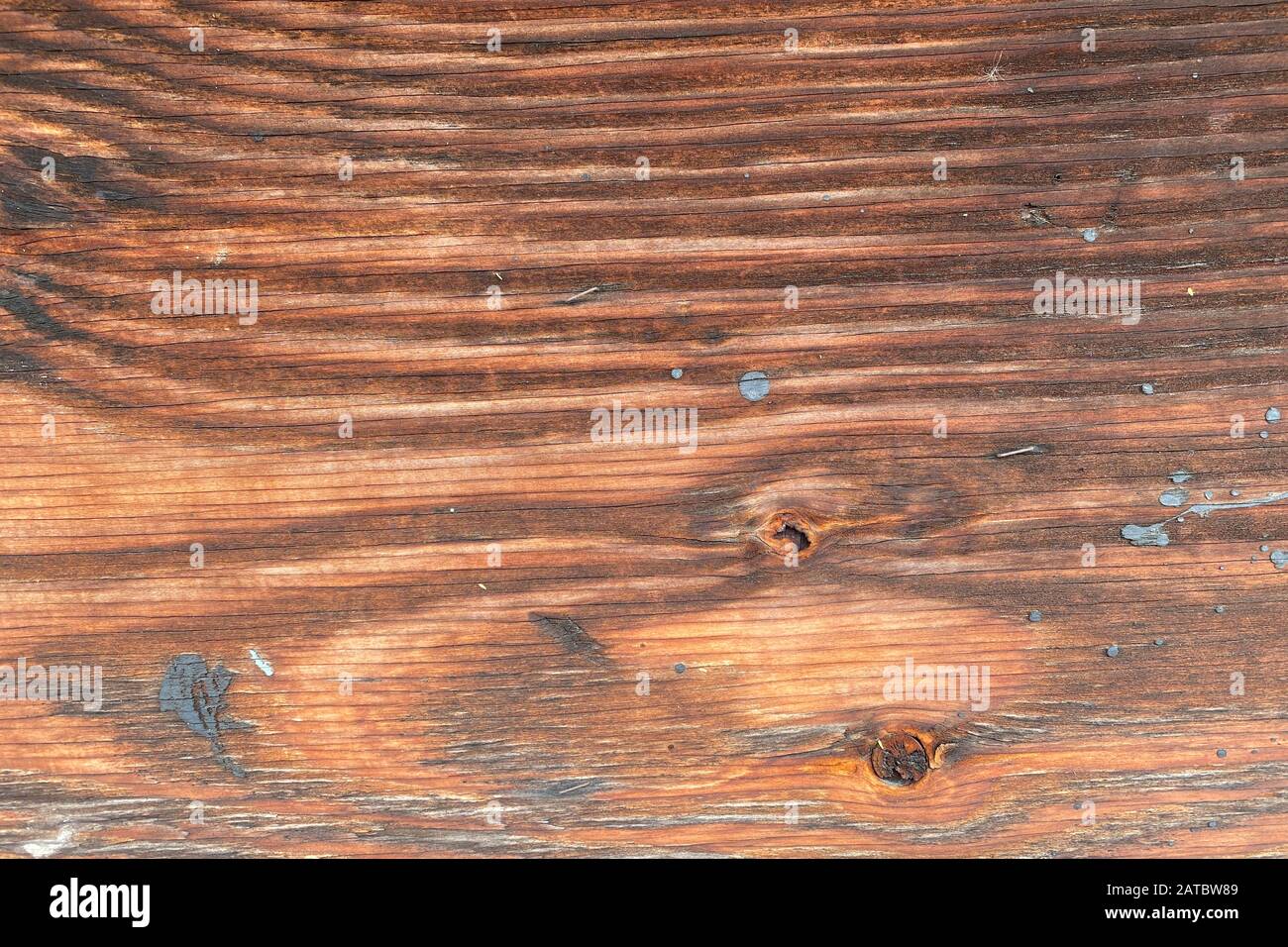 Ein Vintage-Stück Holz mit Knoten und rostigen Nägeln Stockfoto