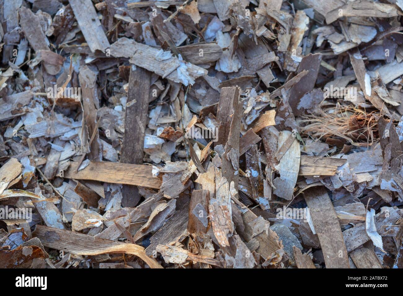 Trockenes Algen aus nchster Nhe bildet einen vollen braunen Hintergrund.  Algen am Strand in der Nhe des Ozeans. Ideal zum Mulchen im Garten, Dnger  fr Pflanzen. Makro Stockfotografie - Alamy