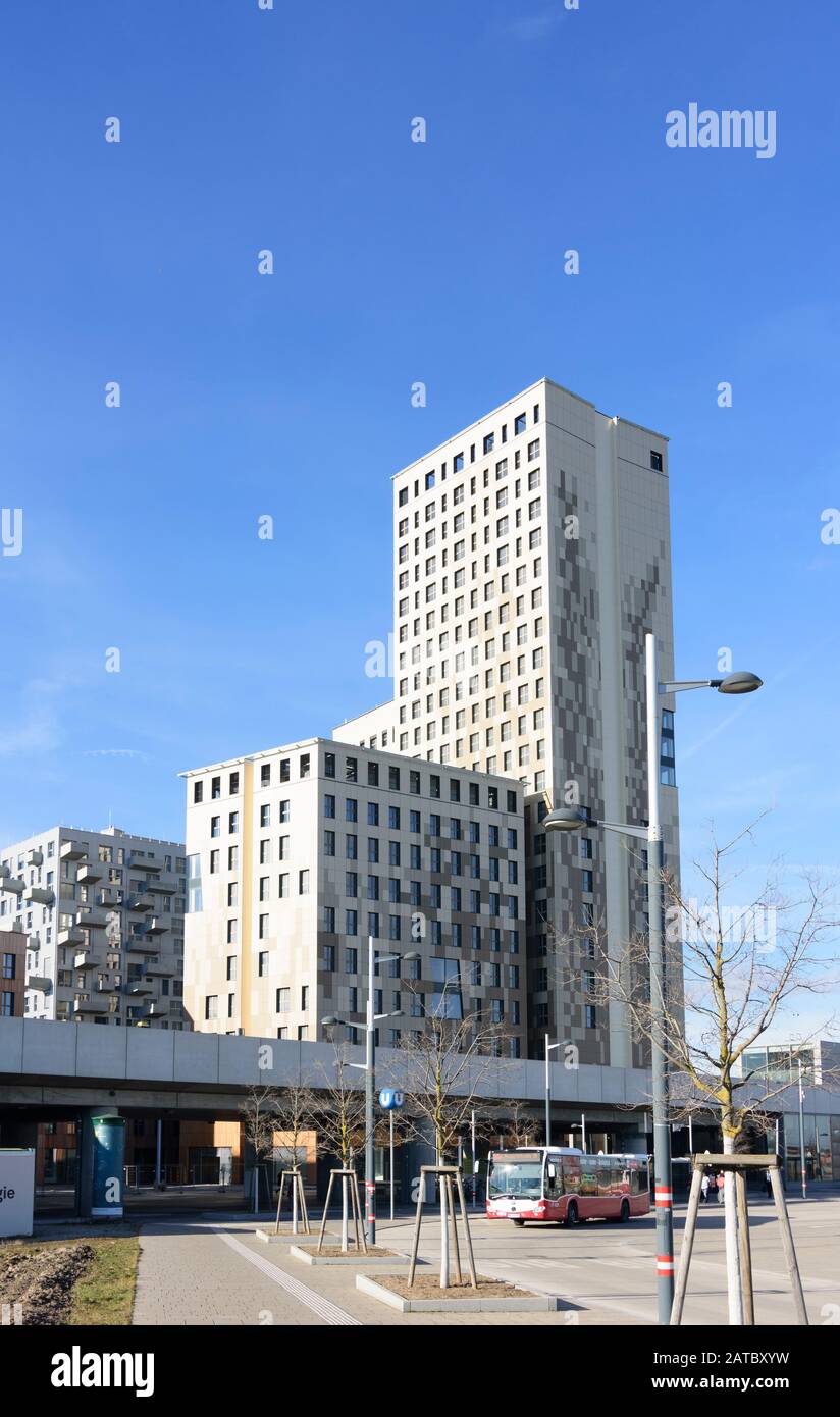 Wien, Wien: 84 m hoher Holzhochhaus oho Holzhochhaus, höchster Holzhochhaus der Welt, im neuen Stadtteil Seestadt Aspern im 22. Donaustadt Stockfoto