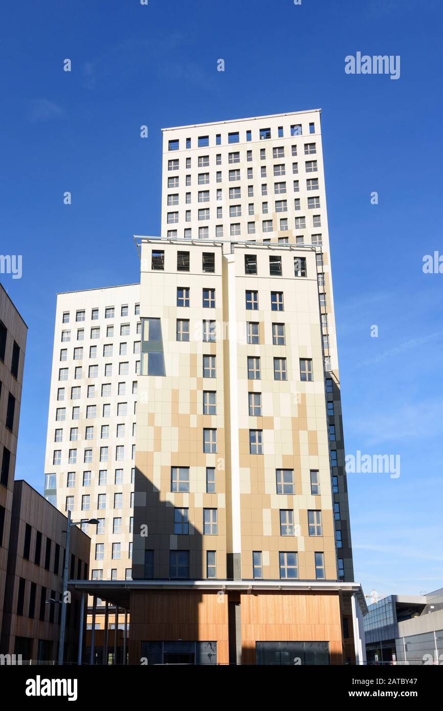 Wien, Wien: 84 m hoher Holzhochhaus oho Holzhochhaus, höchster Holzhochhaus der Welt, im neuen Stadtteil Seestadt Aspern im 22. Donaustadt Stockfoto