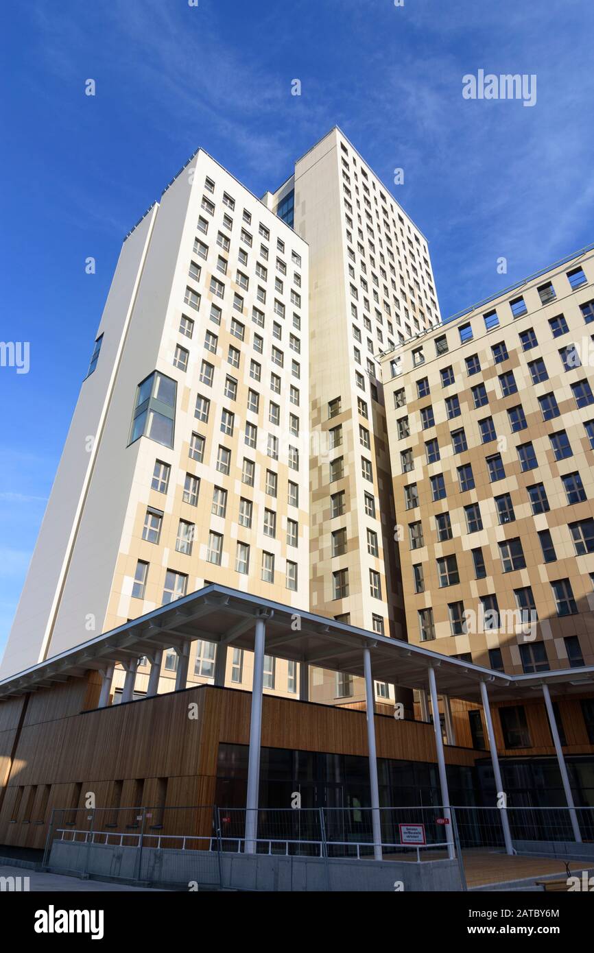 Wien, Wien: 84 m hoher Holzhochhaus oho Holzhochhaus, höchster Holzhochhaus der Welt, im neuen Stadtteil Seestadt Aspern im 22. Donaustadt Stockfoto
