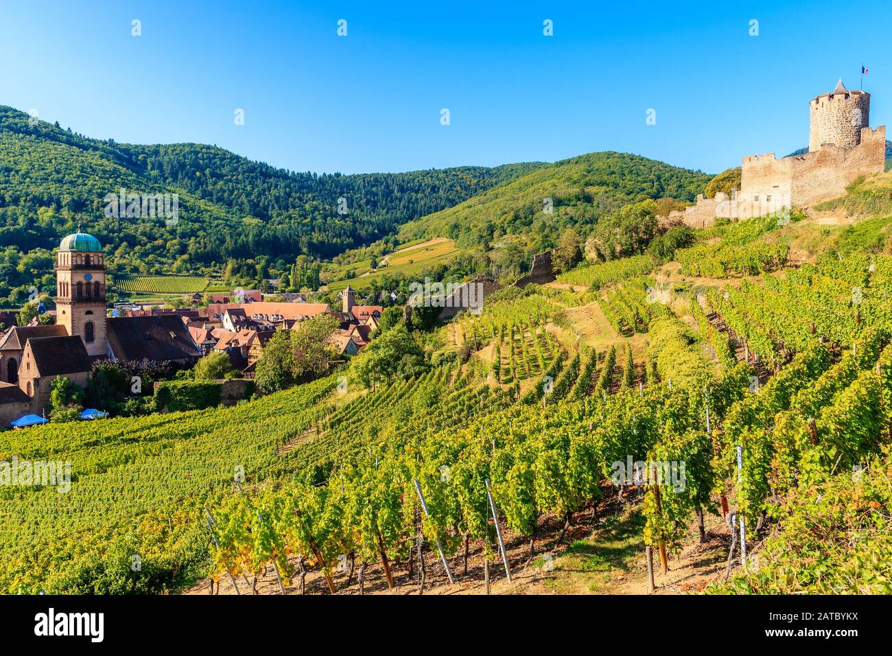 Mittelalterliche Burg auf dem Hügel zwischen Weinbergen in Kaysersberg Dorf auf der elsässischen Weinstraße, Frankreich Stockfoto