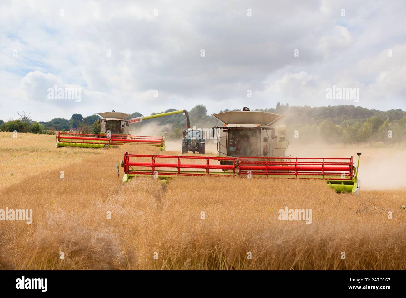 Zwei Mähdrescher und ein Traktor ernten auf einem Feld Stockfoto