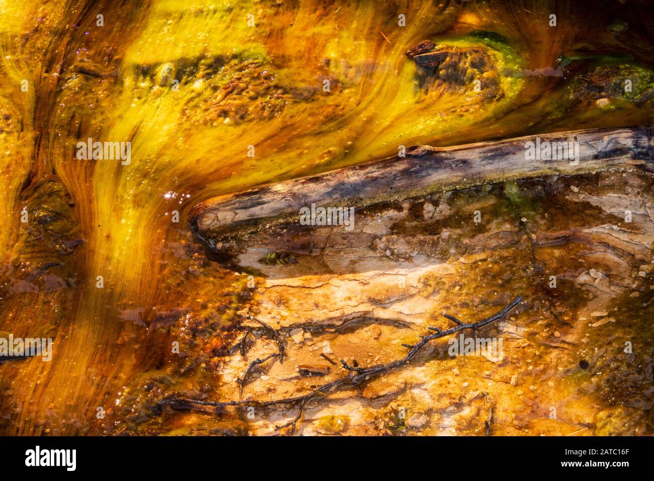 Gelbbraune Algen aus Wasserabfluss Stockfoto