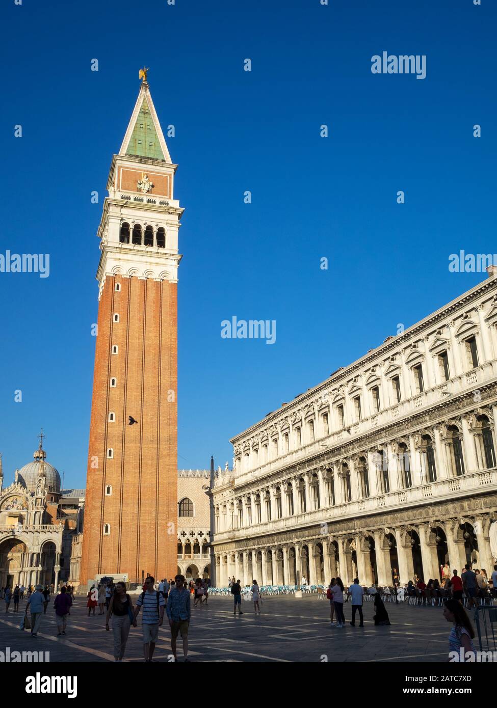 Markusplatz und Turm, Venedig Stockfoto
