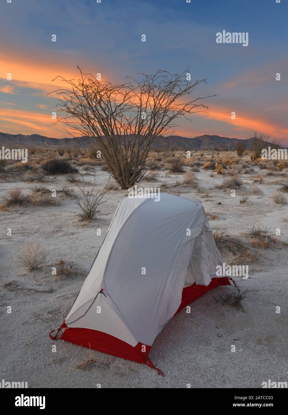 Zelt im Anza Borrego Desert State Park, Kalifornien, USA Stockfoto