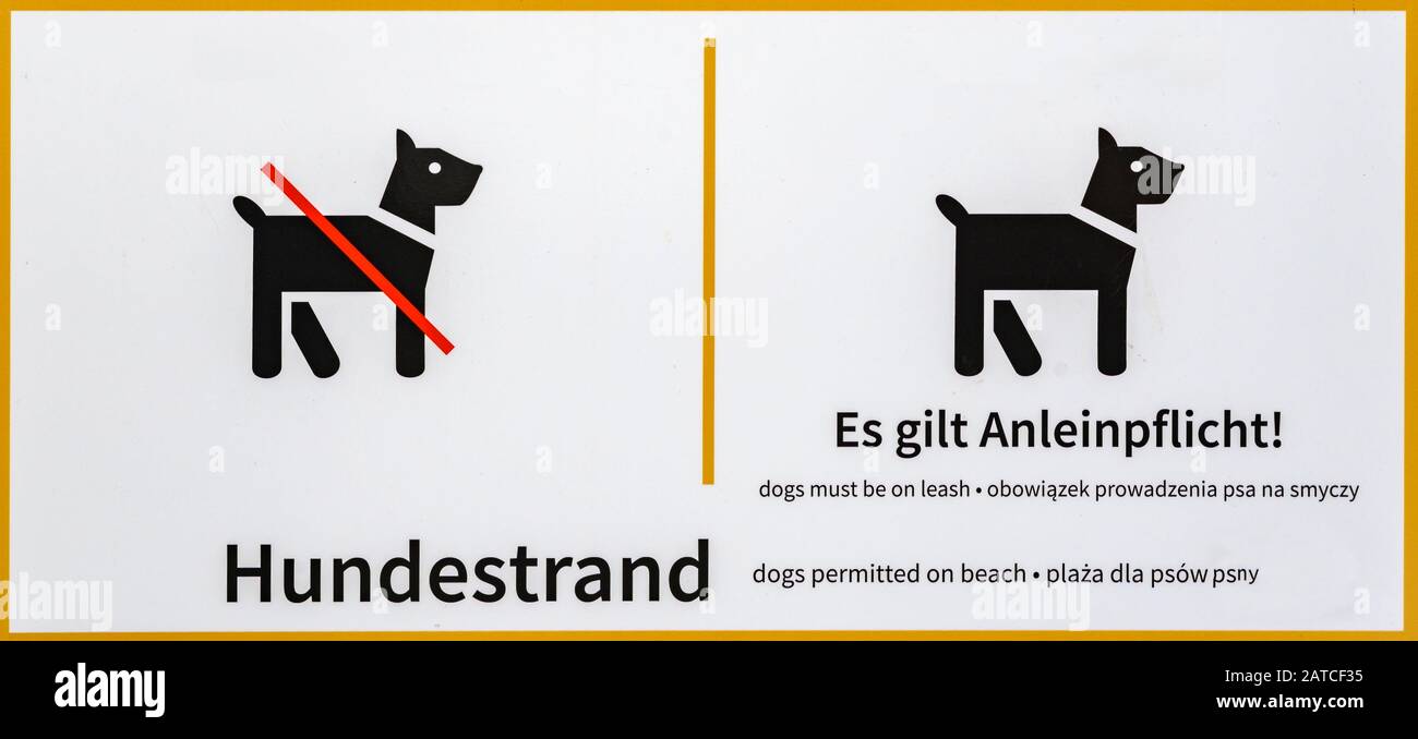 Informationsschild über einen Hundestrand in Englisch, Deutsch und Polnisch. Sie haben Platz, um Ihr eigenes Datum einzufügen, wenn Hunde erlaubt oder verboten sind. Stockfoto