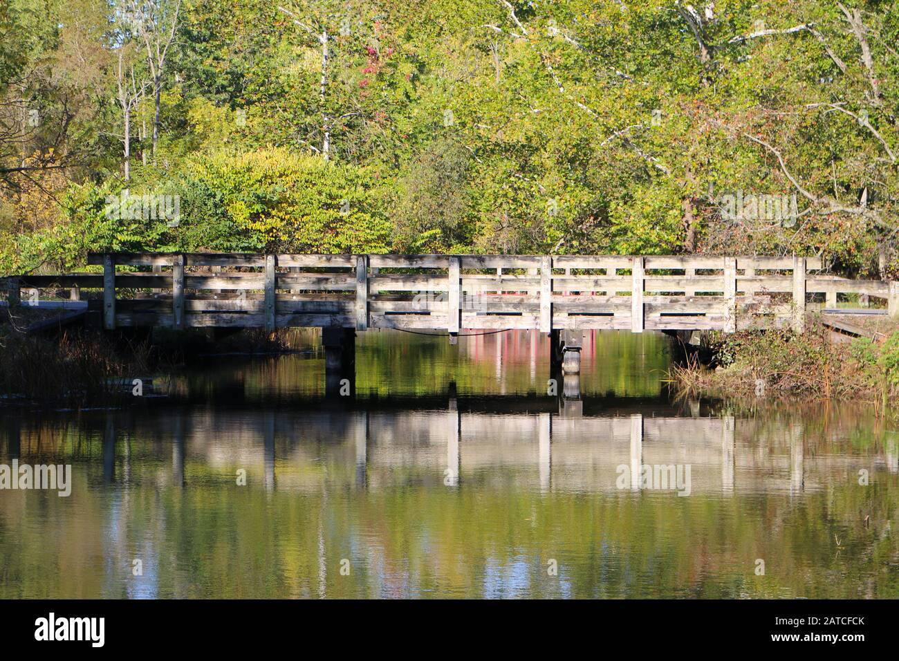 Eine Holzbrücke umkreist einen Fluss an einem sonnigen Tag im Wald Stockfoto