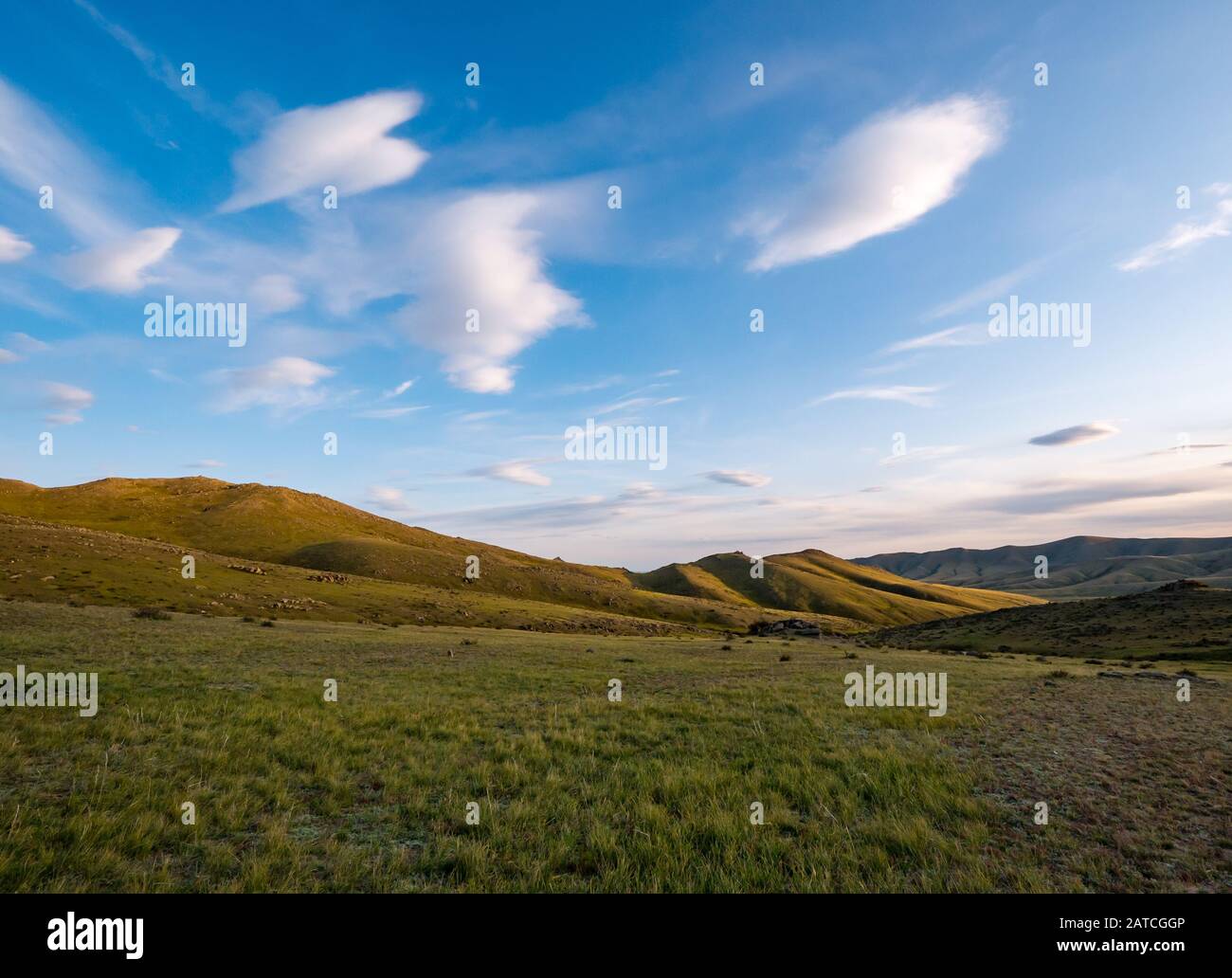 Steppengrasland, Hustai oder Khustain Nuruu National Park, Mongolia, Asien Stockfoto