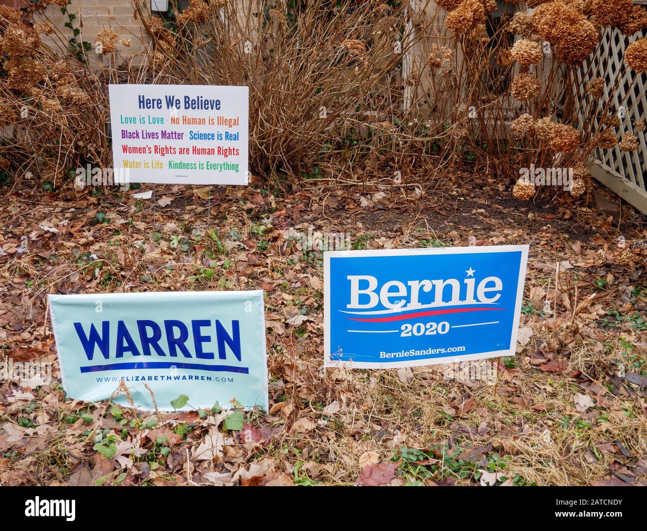 Elizabeth Warren und Bernie Sanders Yard Schilder vor dem Haus. Stockfoto