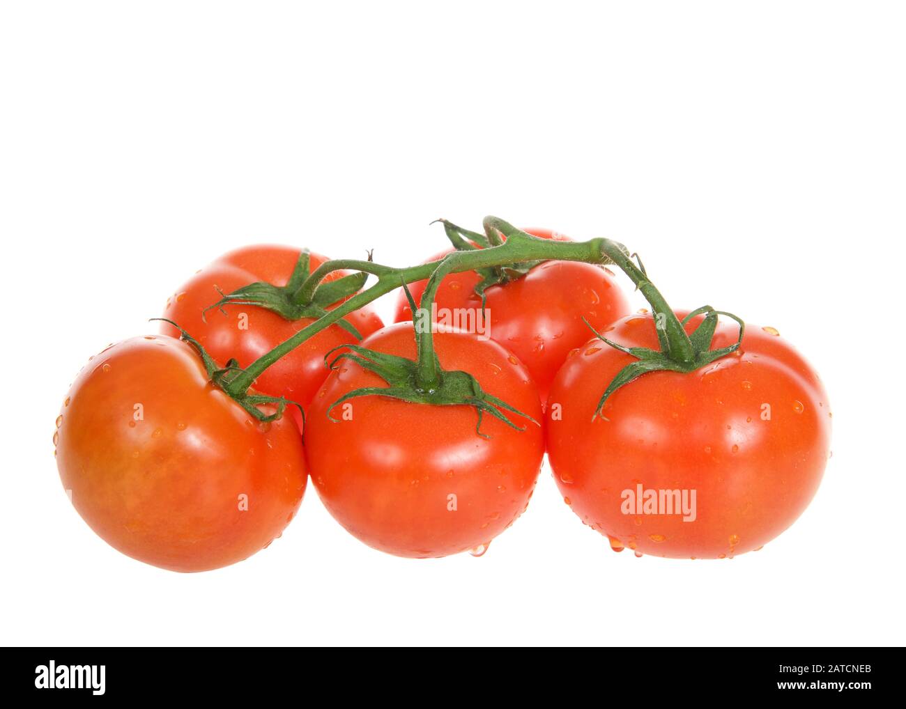 Bio tonnen Fotos und Bildmaterial in hoher Auflösung Alamy