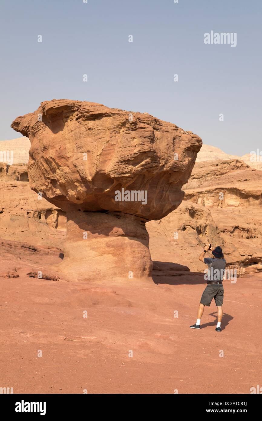 Reisender, älterer Mann, der beim Wandern in der Negev-Wüste, im Timna Park, Israel, ein Foto des roten Sandstein-Hoodoo-Felsens namens „The Mushroom“ macht Stockfoto