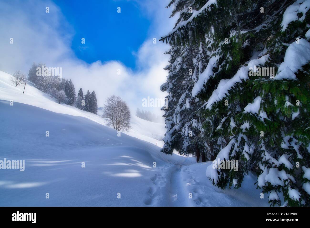 Fußabdrücke im Schnee entlang eines Wanderweges, Ibergeregg, Schweiz Stockfoto
