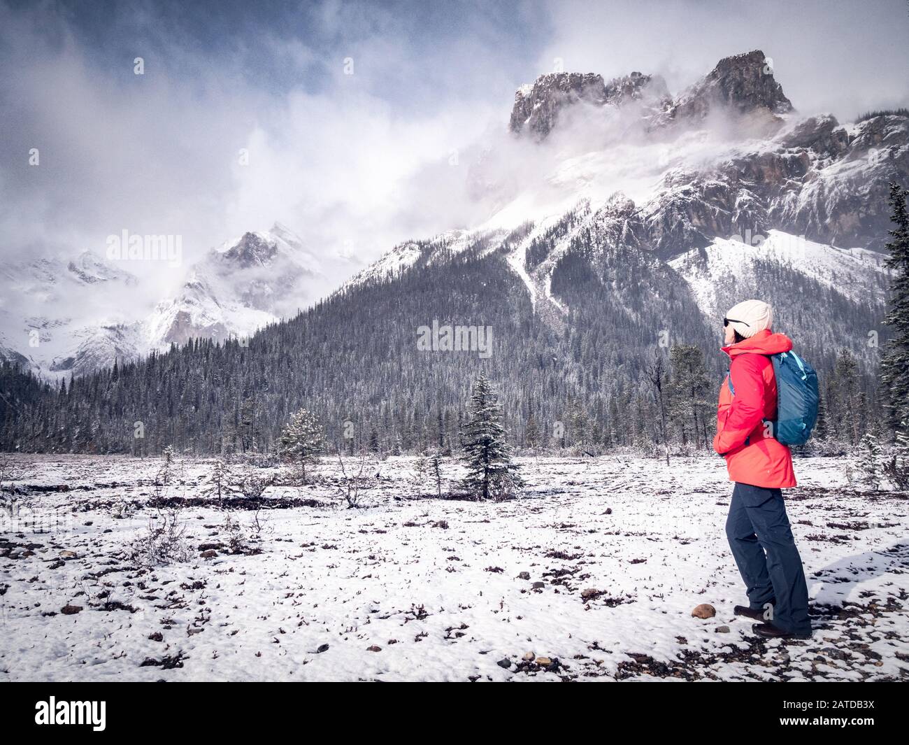 Weiblicher Wanderer mit Blick auf die Berge, Banff National Park, Alberta, Kanada Stockfoto