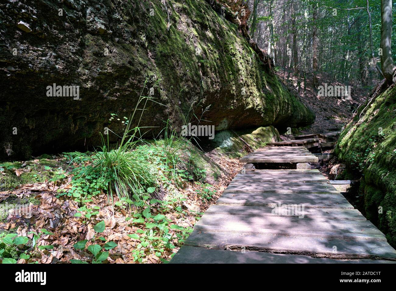 Wanderweg in der Landgrafenschlucht bei Eisenach in Thüringen Stockfoto