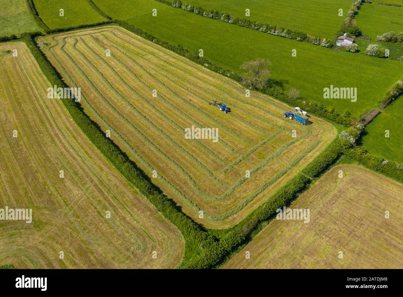 Ein Luftbild, das von einer Drohne von Bauern aufgenommen wurde, die Gras für die Silage in Wiltshire sammeln. Stockfoto