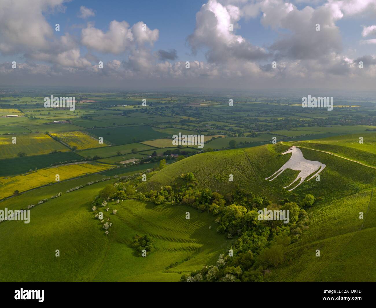 Luftbild des historischen Westbury White Horse in Wiltshire. Aufnahme von einer Drohne. Stockfoto
