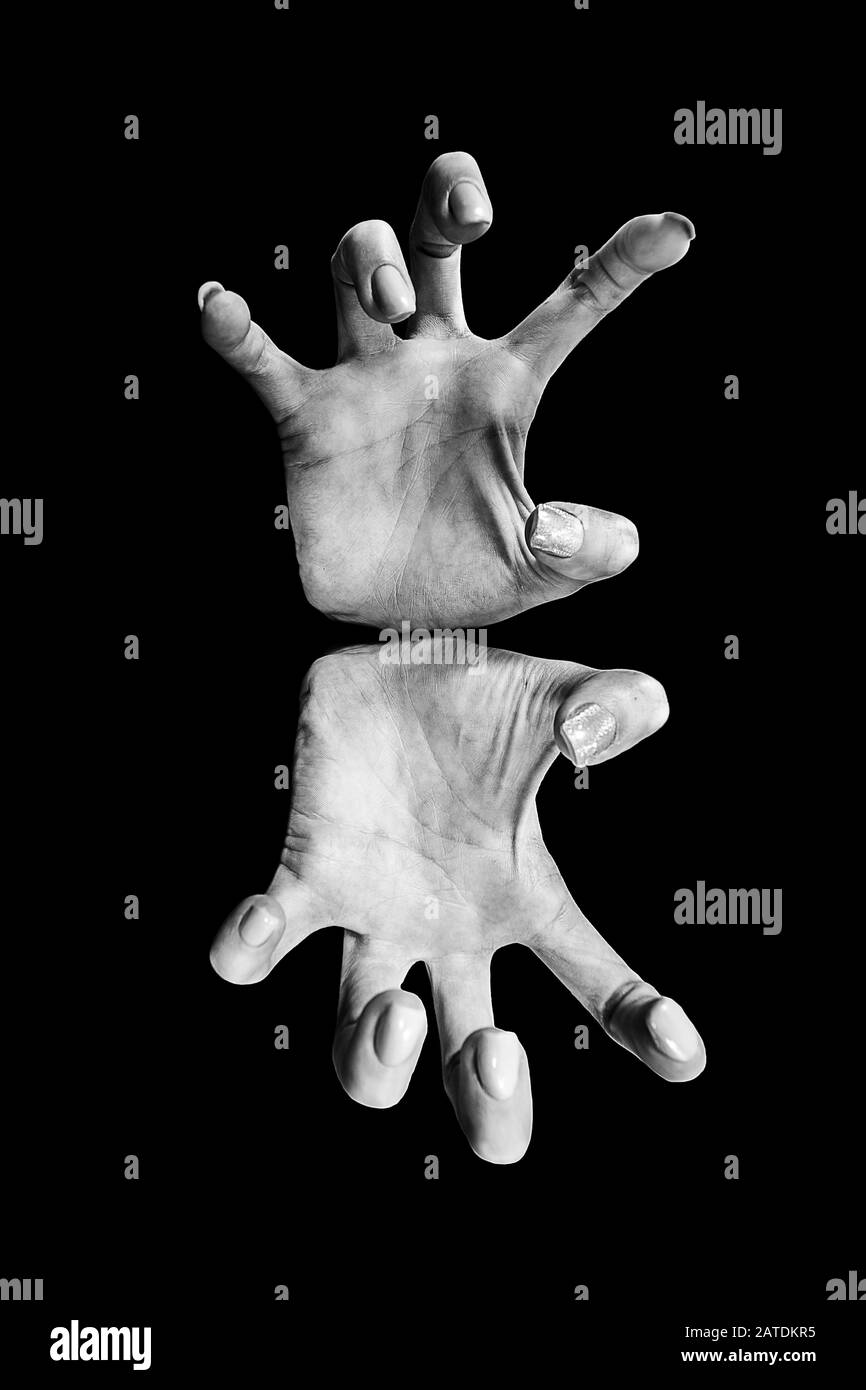Weibliche Hände bei Attack-Geste in die Kamera eine große Ansicht auf schwarzem Hintergrund, monochromes Bild Stockfoto