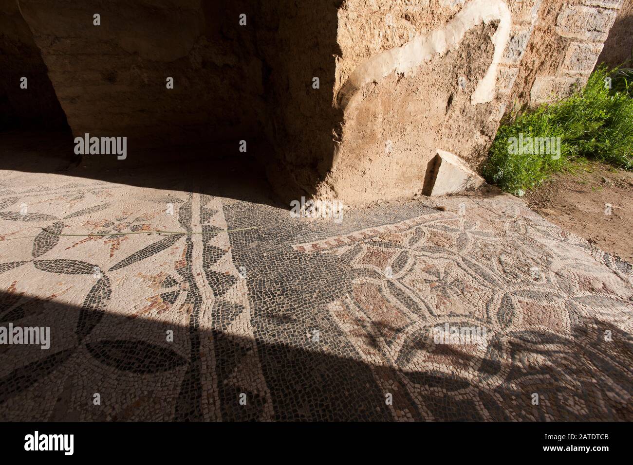 An den Alten römischen Ruinen von Djemilla, EINEM UNESCO-Weltkulturerbe in Nordalgerien. Stockfoto